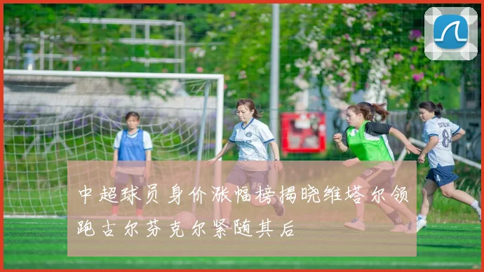中超球员身价涨幅榜揭晓维塔尔领跑古尔芬克尔紧随其后