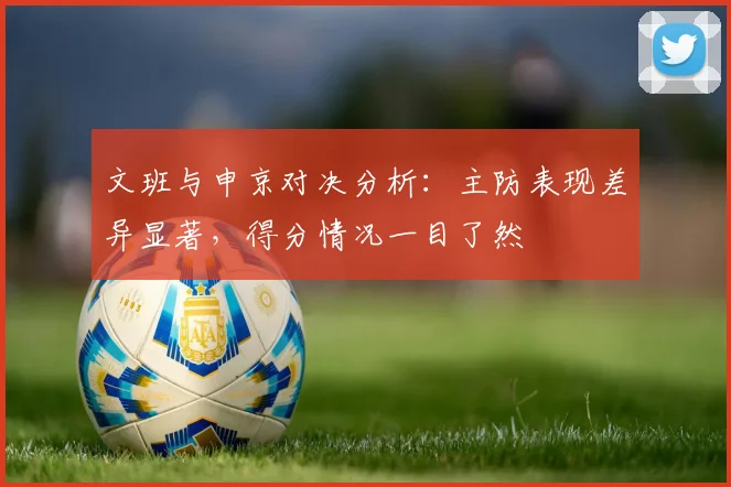 文班与申京对决分析：主防表现差异显著，得分情况一目了然