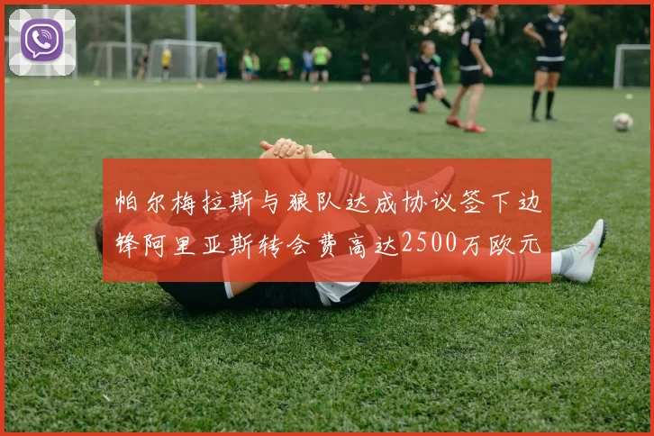 帕尔梅拉斯与狼队达成协议签下边锋阿里亚斯转会费高达2500万欧元